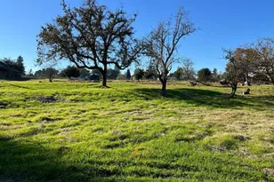4710 Paulsen Ln, Sebastopol, CA 95472 - Photo 1