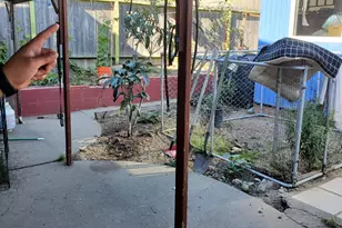 183 Mariposa Ave, Daly City, CA 94015 - Photo 27