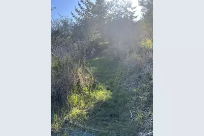 5631 Cloverdale Road, Pescadero, CA 94060 - Photo 5