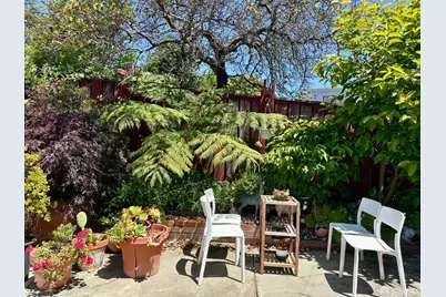 254 La Cruz Avenue, Millbrae, CA 94030 - Photo 35