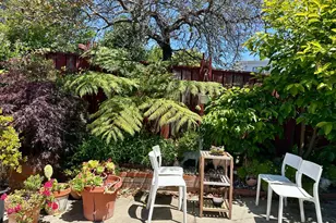 254 La Cruz Ave, Millbrae, CA 94030 - Photo 35