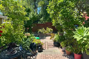 254 La Cruz Ave, Millbrae, CA 94030 - Photo 37