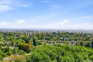145 Vista Del Grande None, San Carlos, CA 94070 - Photo 41