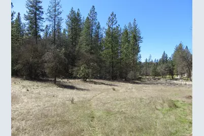 79 Black Oak Drive, Rail Road Flat, CA 95245 - Photo 1