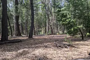 14915 Lolas Echo Rd, Nevada City, CA 95959 - Photo 1