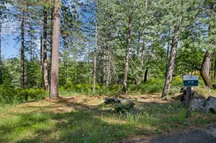 1682 The Point Rd, Meadow Vista, CA 95722 - Photo 1