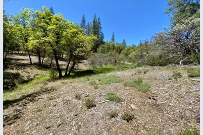 16855 Red Dog Road, Nevada City, CA 95959 - Photo 1