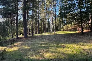 20035 Redwood Ct, Foresthill, CA 95631 - Photo 1