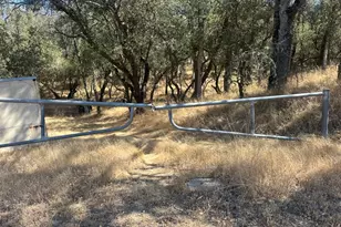 3906 Hwy 49, Mokelumne Hill, CA 95245 - Photo 1
