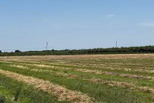 20228 S Harrold Ave, Escalon, CA 95320 - Photo 1