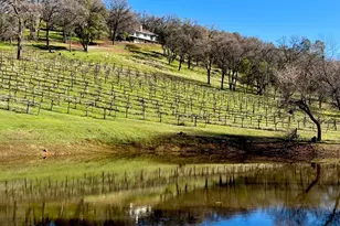 2091 Riesling Way, Placerville, CA 95667 - Photo 1