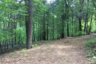 4220 Pegasus Trail, Pollock Pines, CA 95726 - Photo 1