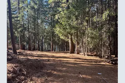 5497 Pine Ridge Drive, Grizzly Flats, CA 95636 - Photo 1