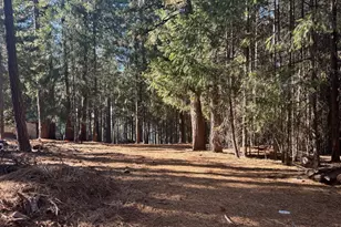 5497 Pine Ridge Dr, Grizzly Flats, CA 95636 - Photo 1