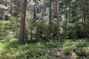 14145 La Porte Rd, Strawberry Valley, CA 95981 - Photo 1