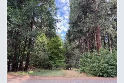 6201 Bucktail Lane, Pollock Pines, CA 95726 - Photo 1