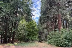 6201 Bucktail Ln, Pollock Pines, CA 95726 - Photo 1