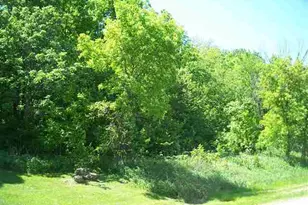 93 Heatherdowns Ln, Galena, IL 61036 - Photo 1