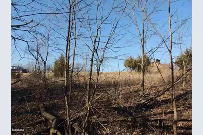 9 Cedar Rim Trail, Galena, IL 61036 - Photo 3