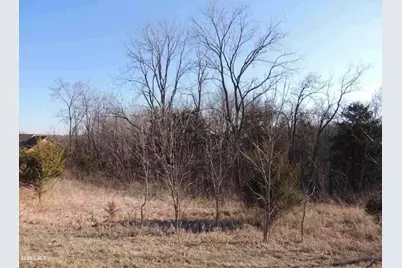 9 Cedar Rim Trail, Galena, IL 61036 - Photo 5