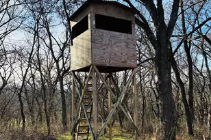 14190 Goldmine Rd, Pearl City, IL 61062 - Photo 41