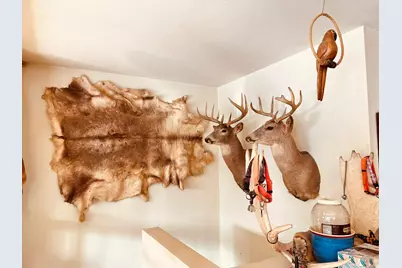 14190 Goldmine Road, Pearl City, IL 61062 - Photo 9