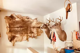 14190 Goldmine Rd, Pearl City, IL 61062 - Photo 9