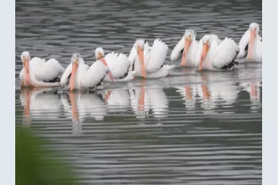 665 Lake Summerset Road, Lake Summerset, IL 61019 - Photo 7