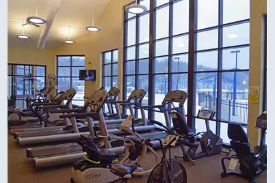 272 Blackhawk Trace, Galena, IL 61036 - Photo 45