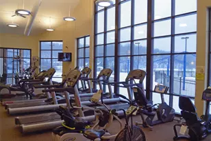 272 Blackhawk Trce, Galena, IL 61036 - Photo 45