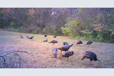 Us Bypass 20, Freeport, IL 61032 - Photo 5