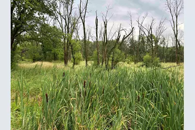 000 Beaver Road, Freeport, IL 61032 - Photo 5