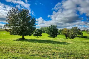 31-89 Country Club Ct, Lake Carroll, IL 61046 - Photo 1