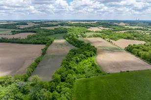 10385 N Rock City Rd, German Valley, IL 61039 - Photo 3