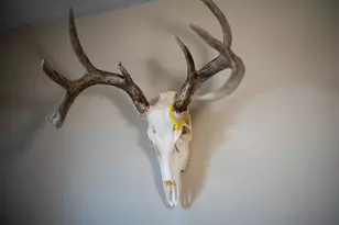 10385 N Rock City Rd, German Valley, IL 61039 - Photo 79