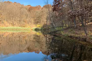 8616 Fisher Rd, Hanover, IL 61041 - Photo 73