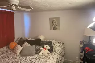 108 W North St, Pearl City, IL 61062 - Photo 3