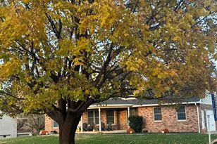 71 Ford Dr, East Dubuque, IL 61025 - Photo 71