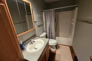 1A49 Blackhawk Ln, Apple River, IL 61001 - Photo 35