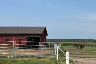 9896 Lincoln Rd, Morrison, IL 61270 - Photo 13