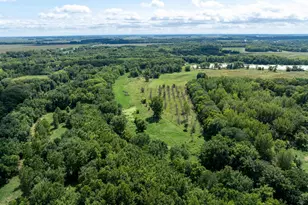 0 Banks Rd, Erie, IL 61250 - Photo 7