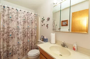 405 W Wachter Rd, Galena, IL 61036 - Photo 35