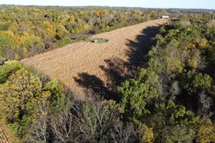 7151 W Blackjack Rd, Hanover, IL 61041 - Photo 43