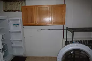 314 S Main St, Elizabeth, IL 61028 - Photo 29