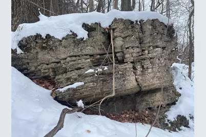 Tbd W Chestnut Mountain Road, Hanover, IL 61041 - Photo 19