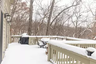 2 Canton Ct, Galena, IL 61036 - Photo 35