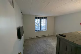 9128 W Terrace Dr, Niles, IL 60714 - Photo 3