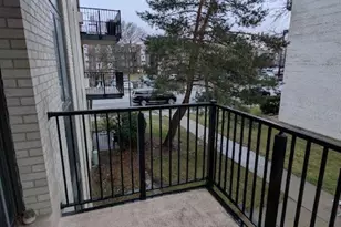 9128 W Terrace Dr, Niles, IL 60714 - Photo 11