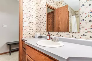 3 Woodway Ct, Galena, IL 61036 - Photo 27