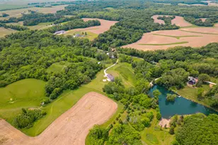 9304 Ellis Rd, Fenton, IL 61251 - Photo 13